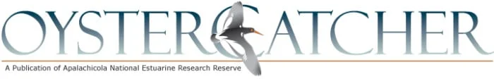 Oyster Catcher Logo