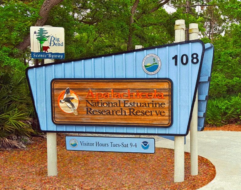 Apalachicola National Estuarine Research Reserve Eastpoint Florida