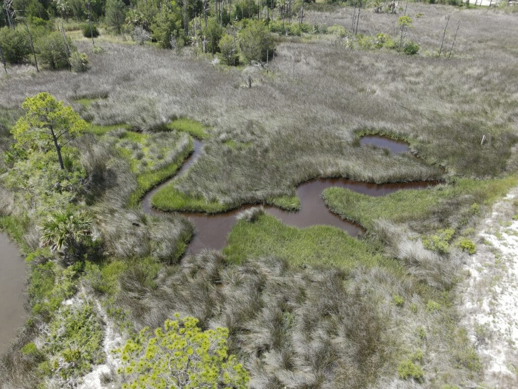  Marsh at St George Island that the Reserve monitors