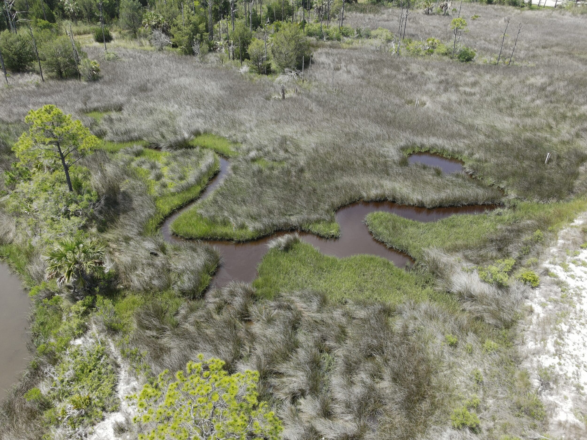  Marsh at St George Island that the Reserve monitors