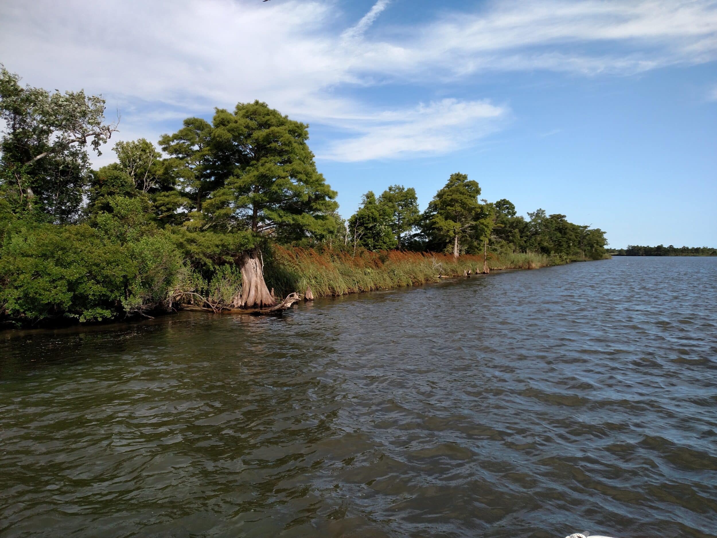 AP River mouth