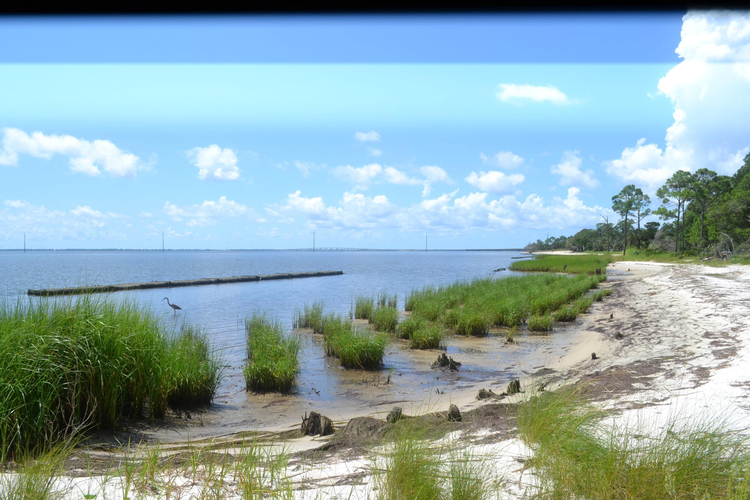 Catpoint Living Shoreline